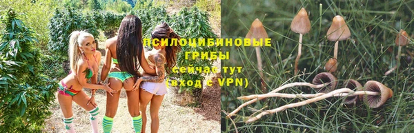 круглые Липки